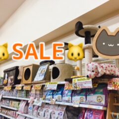 閉店セール　商品紹介♪
