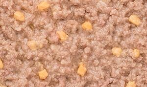 dbf_torinikucheese