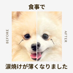 お客様からの『嬉しいお声』💖
