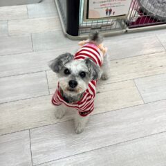 気になる。。。