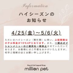 ハイシーズンのお知らせ