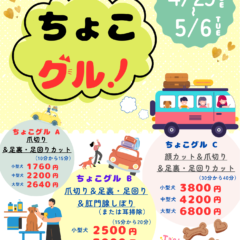 ✂️ちょこっとグルーミング✂️