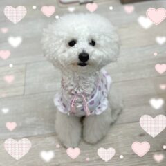 響ちゃん 成長記録🌟