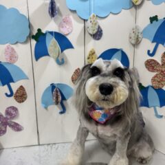 メイちゃんが来てくれました♡