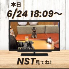見てね！