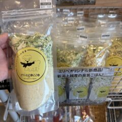 おからを食べて栄養付けよう！