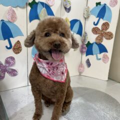 ♡来てくれました♡