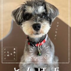 中田エミリーさんからの贈り物