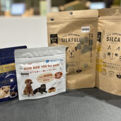 🐾 未病のための長岡が気になる新商品✨