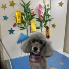 えまちゃんが来てくれました💓