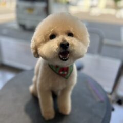 ぬいぐるみの様に変身💜