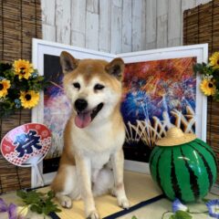 ☆来てくれました☆