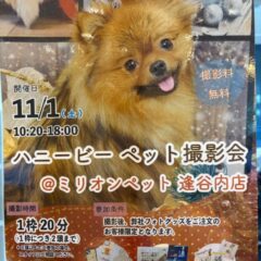1つの思い出に💕