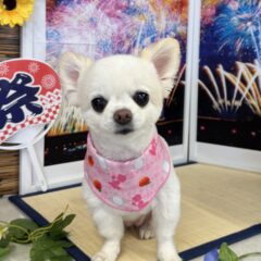 来てくれました💕