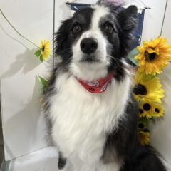 来てくれました🌟