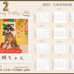 一緒にお祝いさせてください！