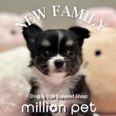 New べいびぃ！
