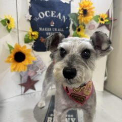 シュウちゃんが来てくれました💓