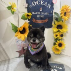 ジョーくんが来てくれました💓