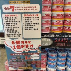 今だけお得！！