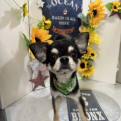来てくれました🫶