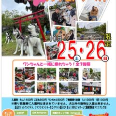 ★ワントピアワールド2025★