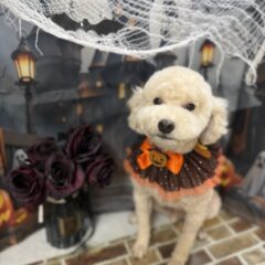 どちらのお風呂にしますか？