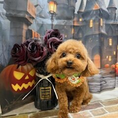 ♡来てくれました♡