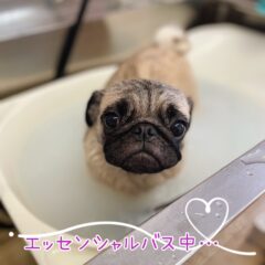 ポカポカ温浴♨おすすめです☆