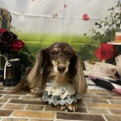 可愛い子が来てくれました❣️