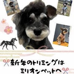 2025年もあと僅か！