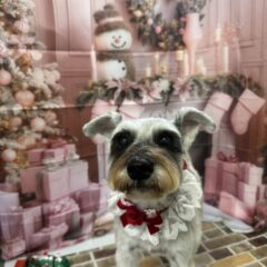 ソラちゃんが来てくれました💓