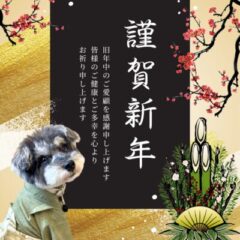 新年あけましておめでとうございます。