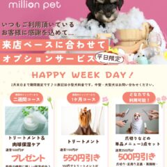 トリミング平日限定