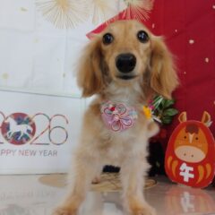 ♡来てくれました♡