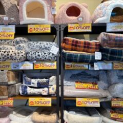 お買い得商品！