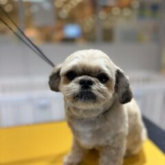 インスタグラム常時更新中！