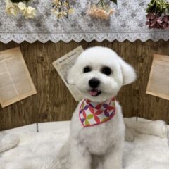 リゼちゃんが来てくれました💓