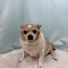 来てくれました🌟