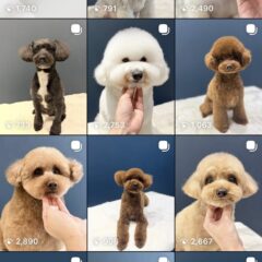 インスタグラムもぜひ！