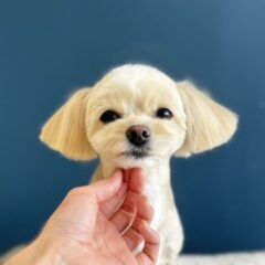 Instagramで日々の“かわいい”を発信中♡