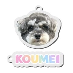 孔明君アクリルキーホルダー
