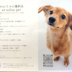 素敵なお写真ワンちゃん撮影会✨