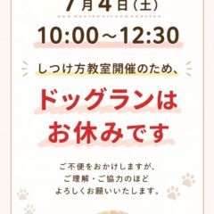 ドックランからお知らせ