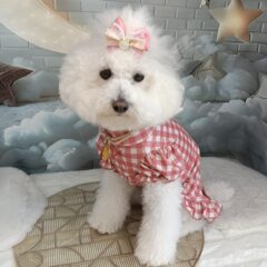 新作お洋服入荷しました♬